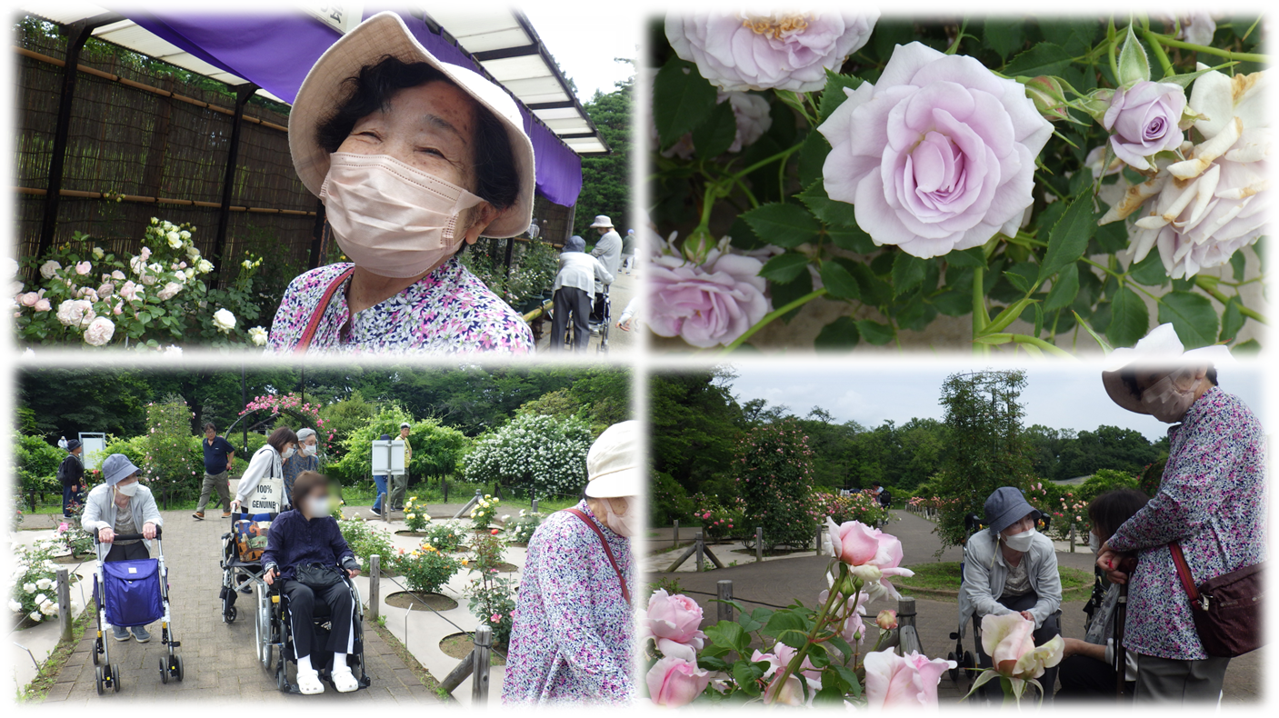 神代植物園散策①.png