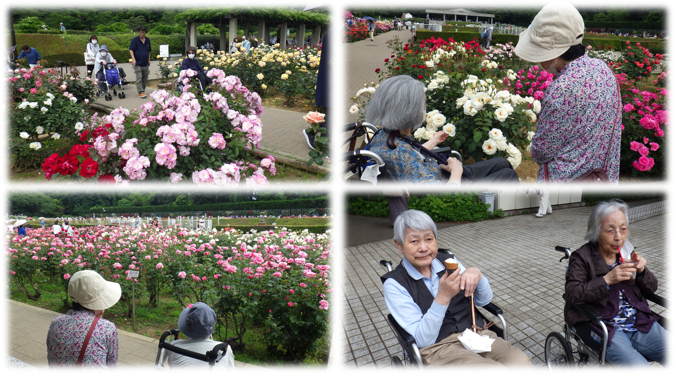 神代植物園散策②.png