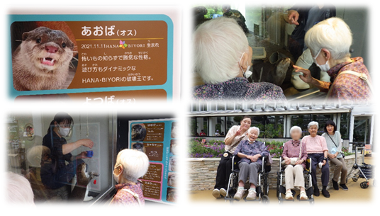 カワウソと集合.png