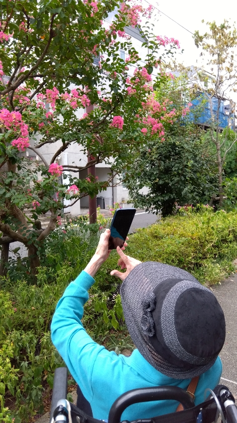 小林さん　散歩②.jpg