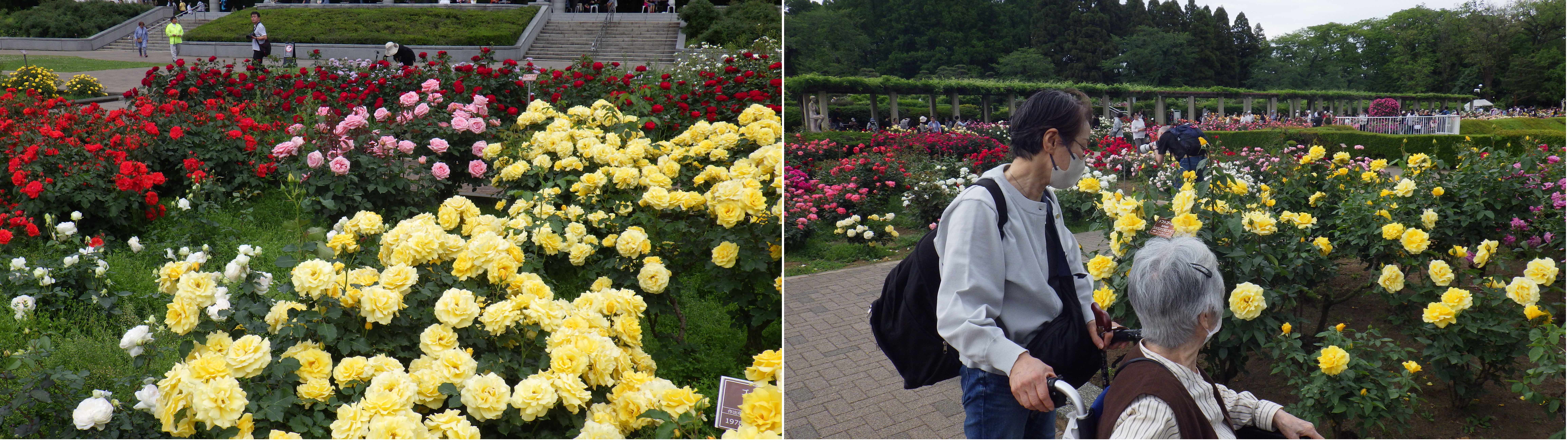 デイ芦花　外出③.jpg