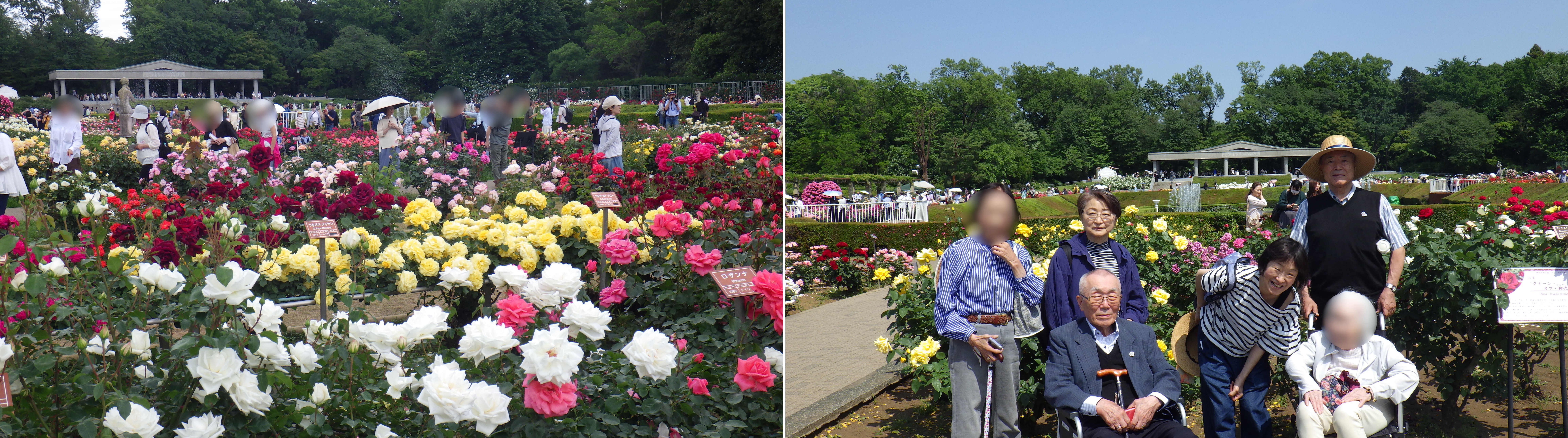 デイ芦花　外出鰻②.jpg