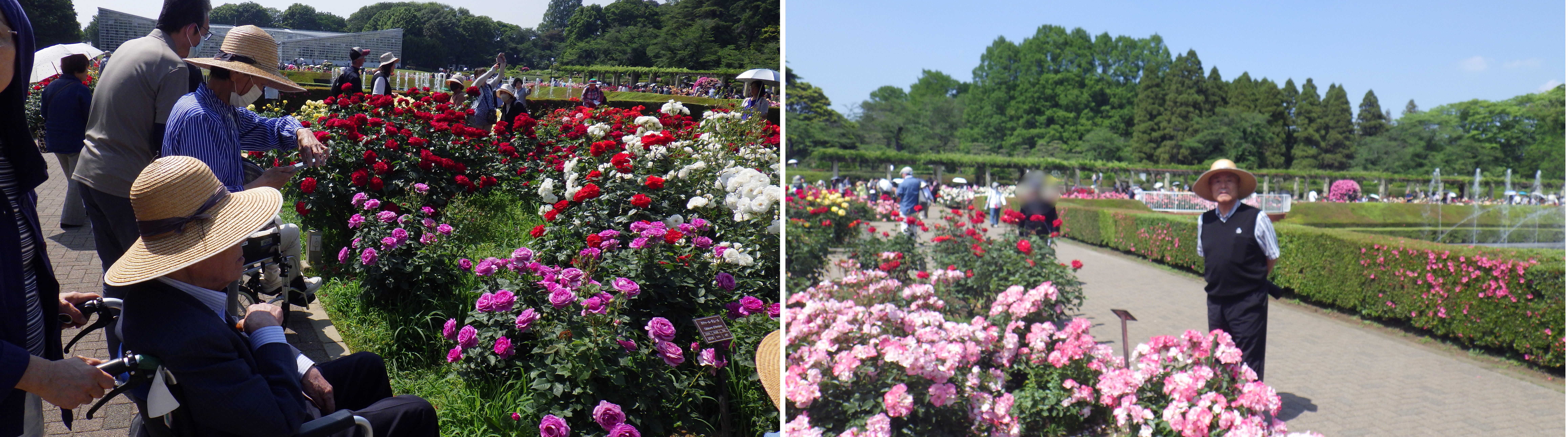 デイ芦花　外出鰻③.jpg