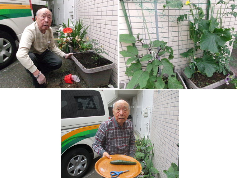 野菜きゅうり.png
