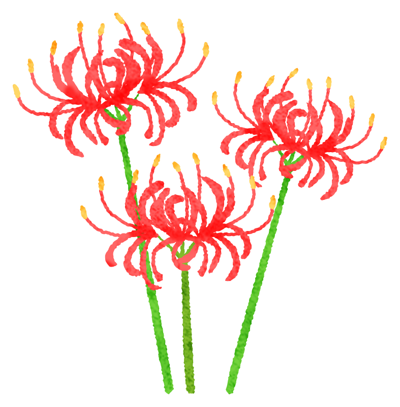 red-spider-lily.png