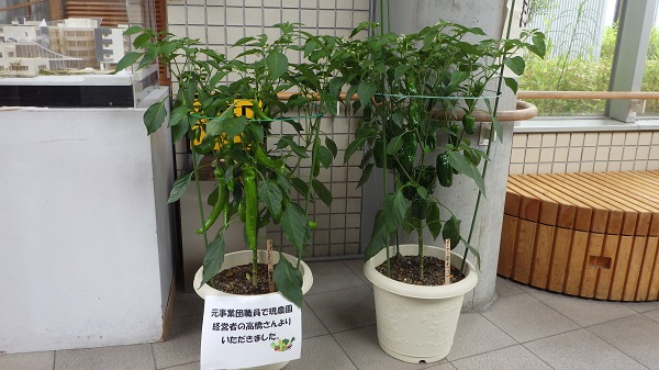 RIMG5851館内での撮影.JPG