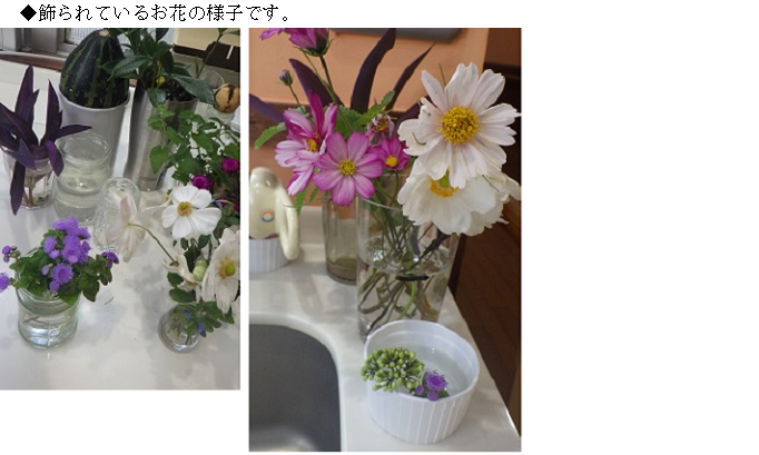 談話コーナーお花.png