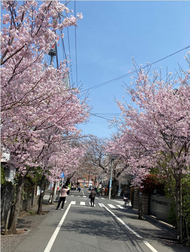 写真１.png