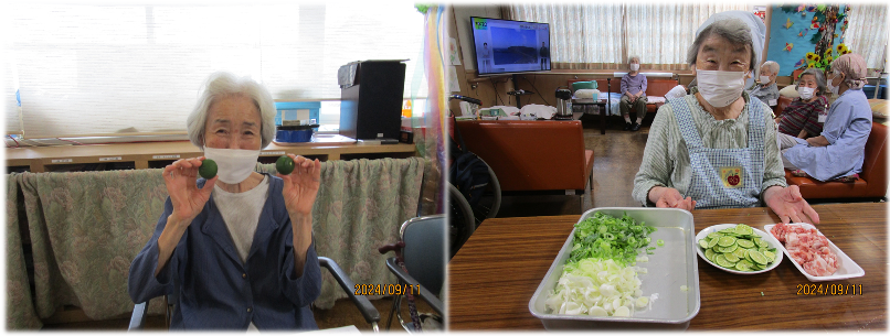 すだちうどん②.png